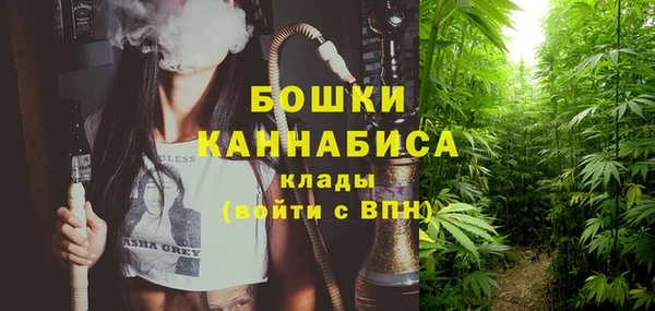 первитин Осинники